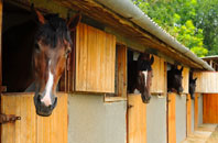 free Thorngrafton stable construction quotes